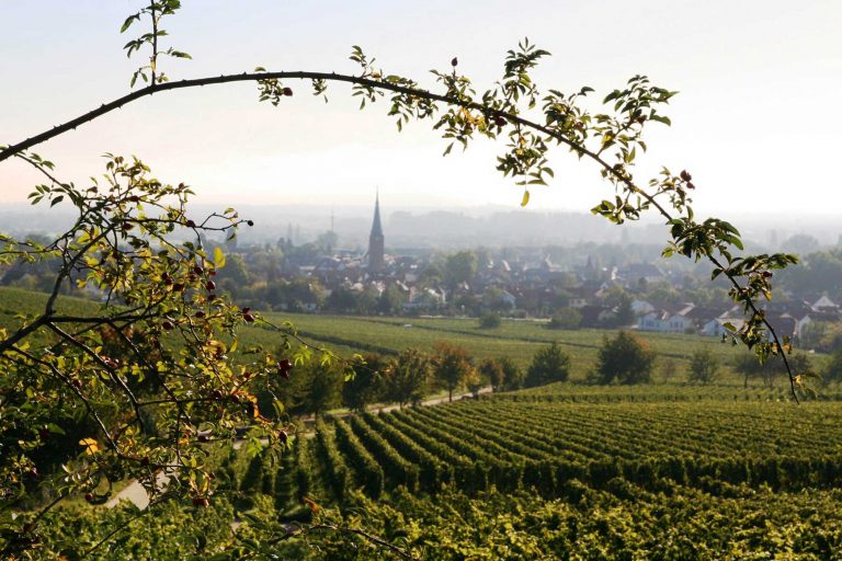 slide-deidesheim